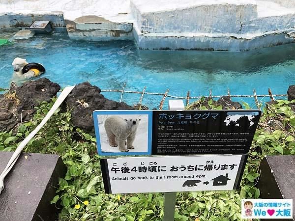Tennoji Zoo Osaka