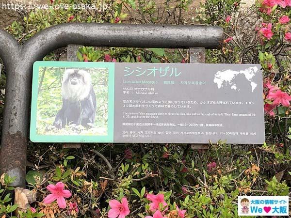 Tennoji Zoo Osaka