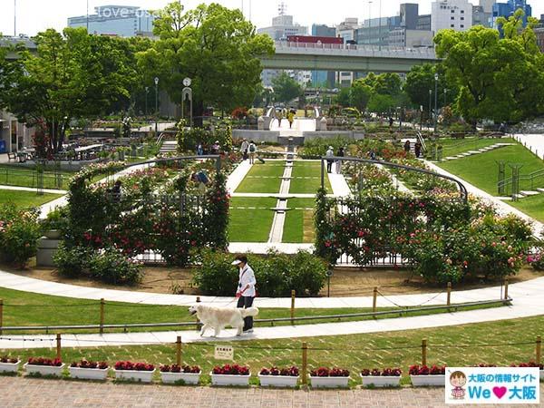 Nakanoshima Rose Garden